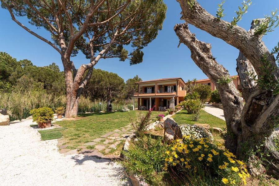 Villa Cecilia - Appartamenti Procchio  Eksteriør billede
